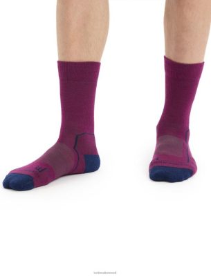 Icebreaker Eesti ZZ0F2275 mehed | Icebreaker Merino matk+ kergete meeskondade sokid Mine marja/kuninglik merevägi
