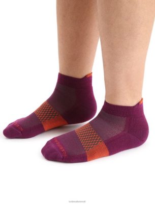 Icebreaker Eesti ZZ0F2281 mehed | Icebreaker Merino multisport Light mikro sokid mine marja/erksav maa