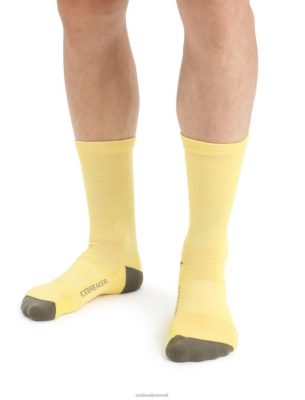 Icebreaker Eesti ZZ0F2295 mehed | Icebreaker Merino elustiili valguse meeskonna sokid Suvi/Loden