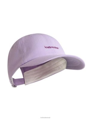 Icebreaker Eesti ZZ0F2323 unisex | Icebreaker Merino 6 paneelimüts lilla pilk/mine mard