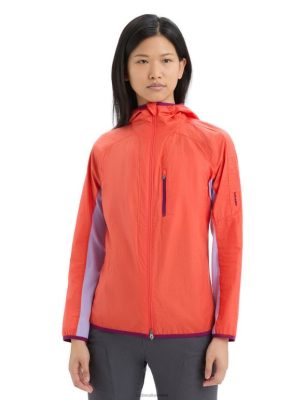 Icebreaker Eesti ZZ0F2680 naised | Icebreaker Shell+ Merino Cotton Wind Bruker erksav maa/lilla pilk