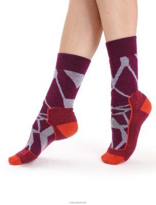 Icebreaker Eesti ZZ0F2775 naised | Icebreaker Merino matk+ keskmise meeskonna sokid purustatud maastikud lilla pilk/mine mard