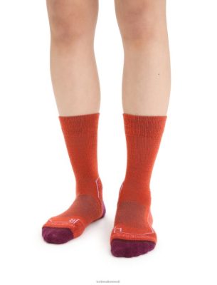 Icebreaker Eesti ZZ0F2784 naised | Icebreaker Merino matk+ kergete meeskondade sokid erksav maakeha/mine marja