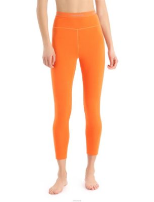 Icebreaker Eesti ZZ0F2854 naised | Icebreaker 300 Merinofine termilisi sääriseid vilksatus