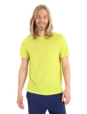 Icebreaker T-Shirt ZZ0F2386 mehed | Icebreaker Merino Sphere II lühikeste varrukatega T-särk särama
