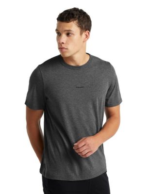 Icebreaker T-Shirt ZZ0F2493 mehed | Icebreaker Merino keskvarrukaga t-särk Gritstone Heather